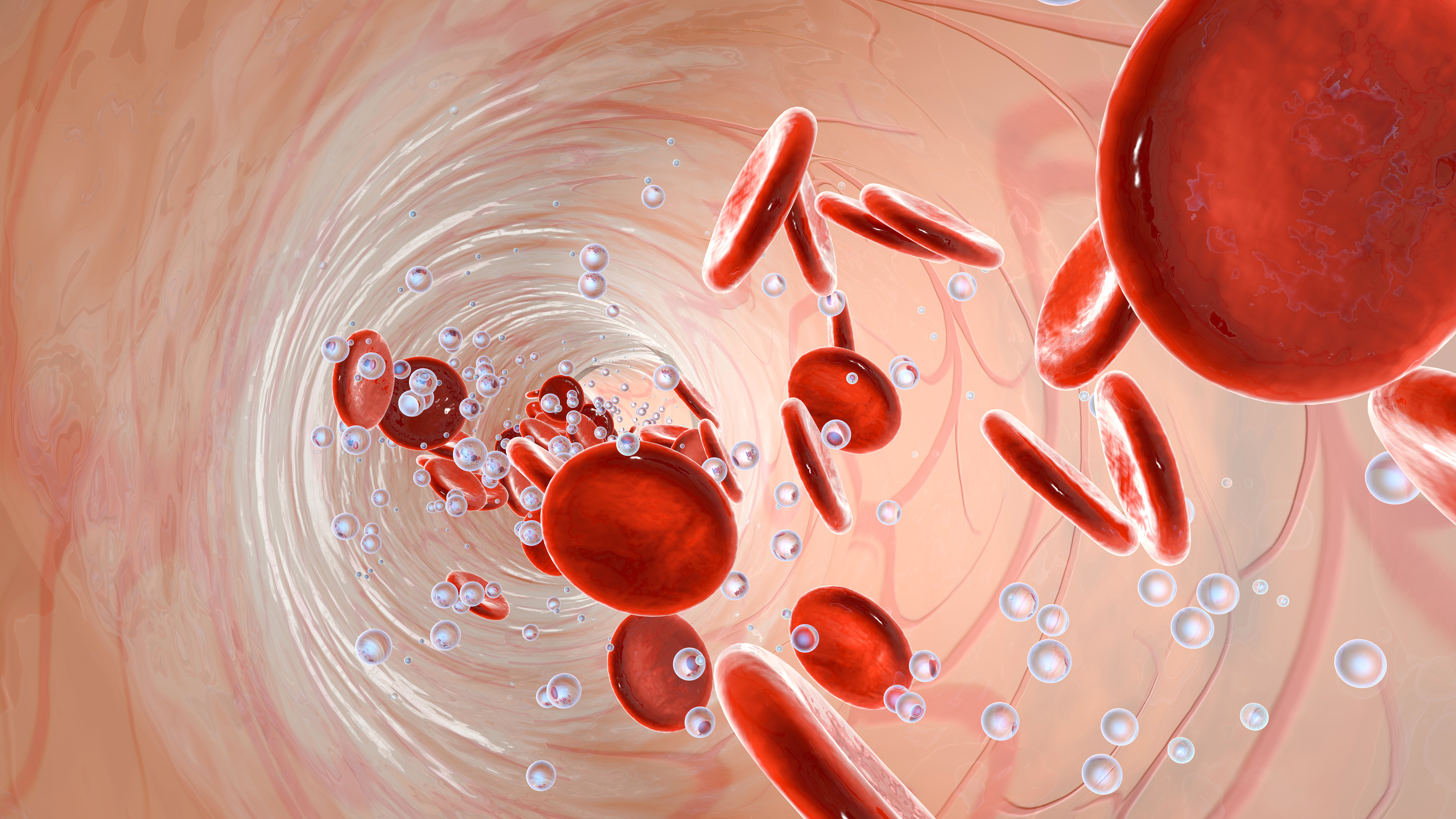 Oxygen molecules and erythrocytes floating in a vessel in the blood stream.