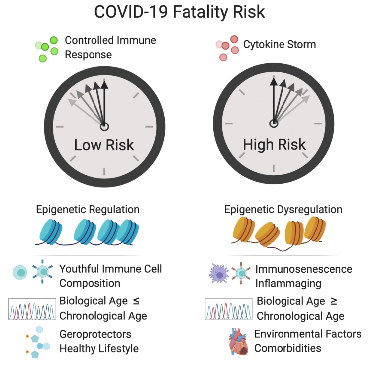 Figure 2. Factors that increase the fatality risk of COVID-19.