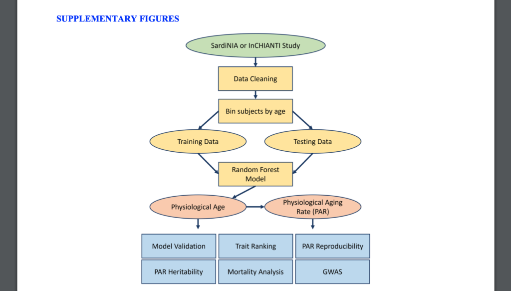 Supplementary Figure 1. Computational workflow for measuring physiological age and physiological aging rates (PAR) using the machine learning framework.