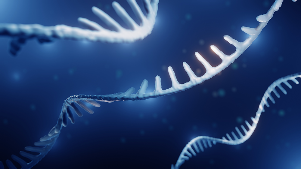 miRNAs, microRNAs, RNA illustration