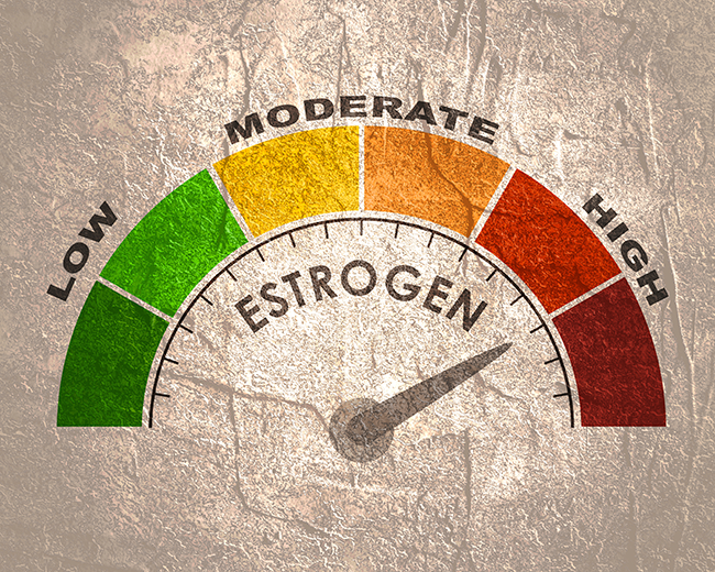 In a new study, researchers explored Alzheimer's disease and its potential relationship with the estrogen receptor-α gene (ESR1).