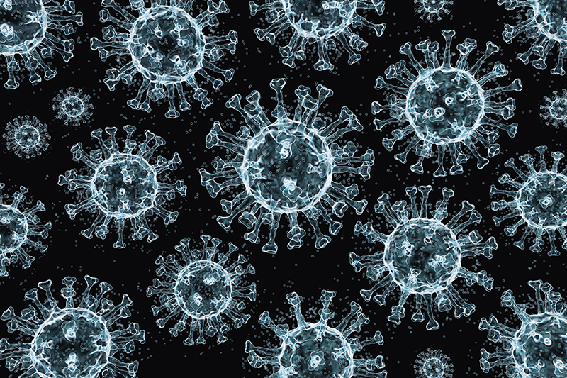 RNA Virus Fruit Fly Model: First Study to Measure Single-Fly Respiration